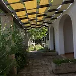Capani * Alezio