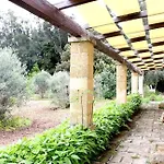 Capani