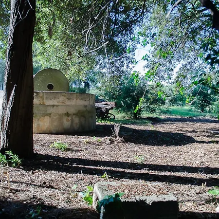 Capani